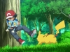 pokemon-xy-003-25001