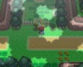 rotom10