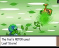 rotom21