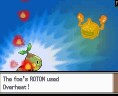 rotom3