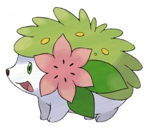 shaymin1