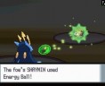 shaymin2