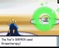 shaymin31