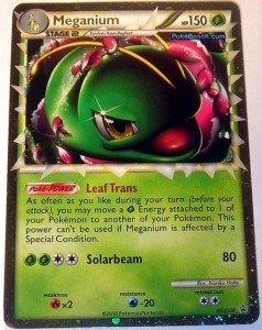 8-meganium-prime