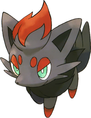 zorua zorua