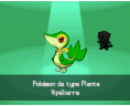 Pokémon Noir et Blanc