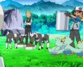 Et oui, il y en a des Pokémon à nourrir !