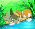 Baggiguane et Coupenotte, deux Pokémon amis !