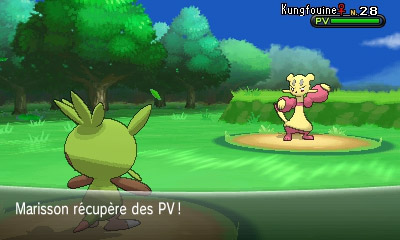 PokémonXY Partage O-Auras (5)