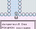 Pokémon Rouge et Bleu