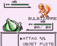 Pokémon Rouge et Bleu