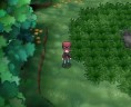 Pokémon XY - Pierre Mousse