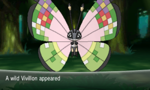 Pokémon XY- Motif Shaymin