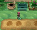 PokémonXY Champ de baies