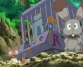 XY 07 sauvés par sapereau