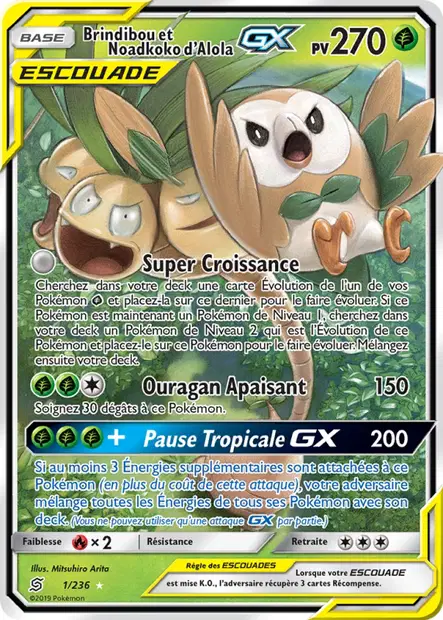 Brindibou et Noadkoko d'Alola