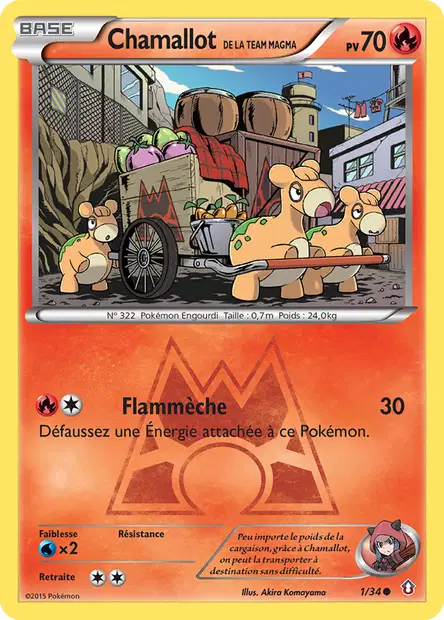 Chamallot <small>de la Team Magma</small>