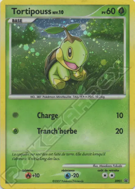 Tortipouss