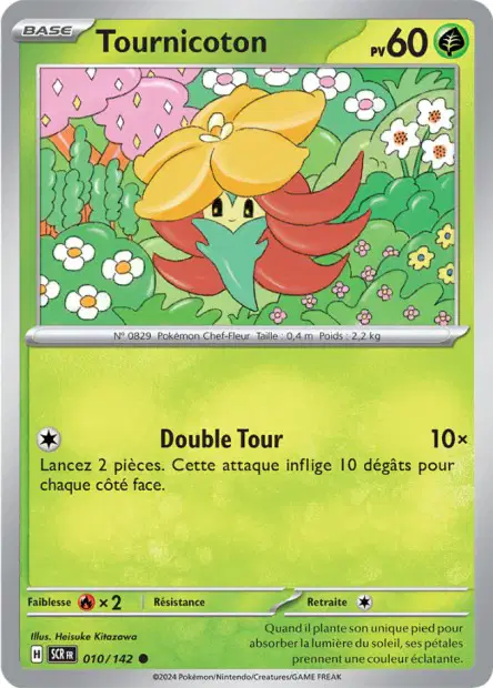 Tournicoton