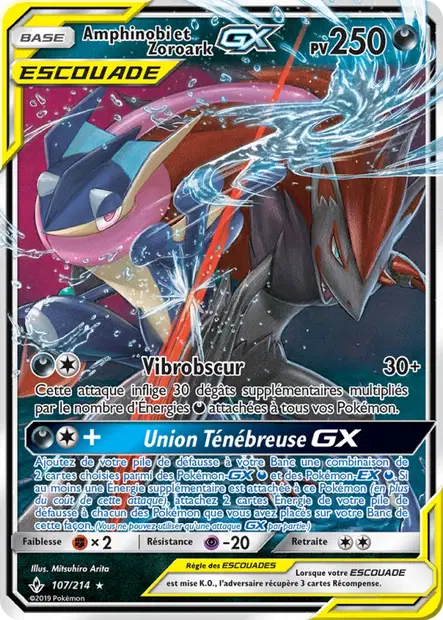 Amphinobi et Zoroark