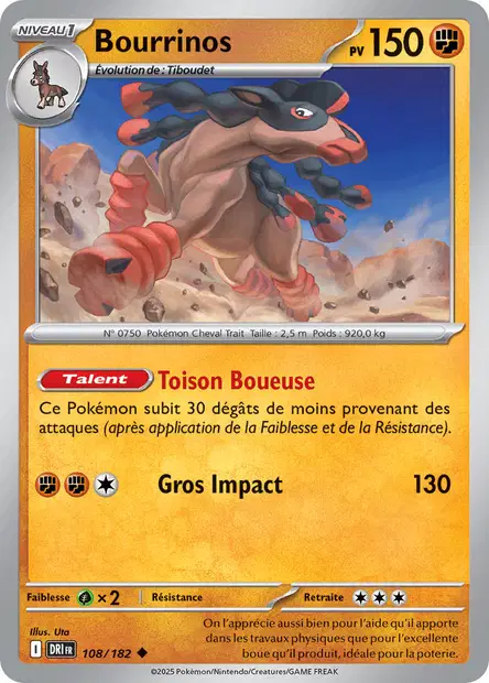 Bourrinos