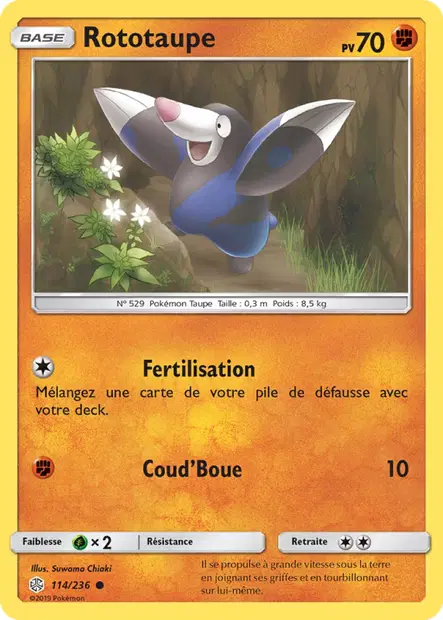 Rototaupe