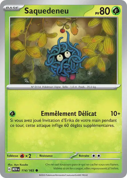 Saquedeneu