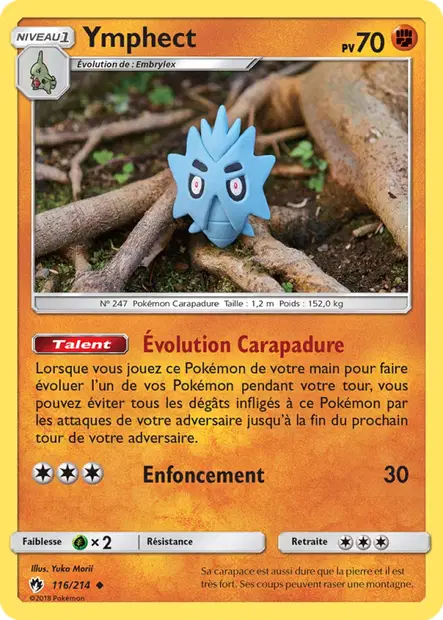Ymphect