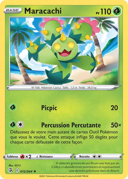 Maracachi