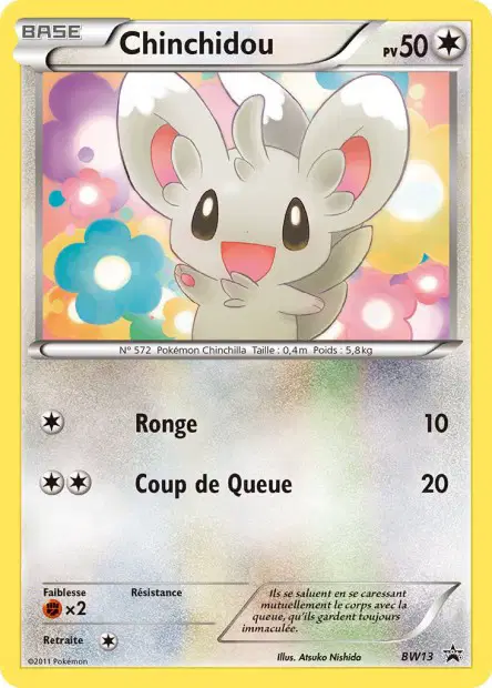Promos Black Star Noir & Blanc #13