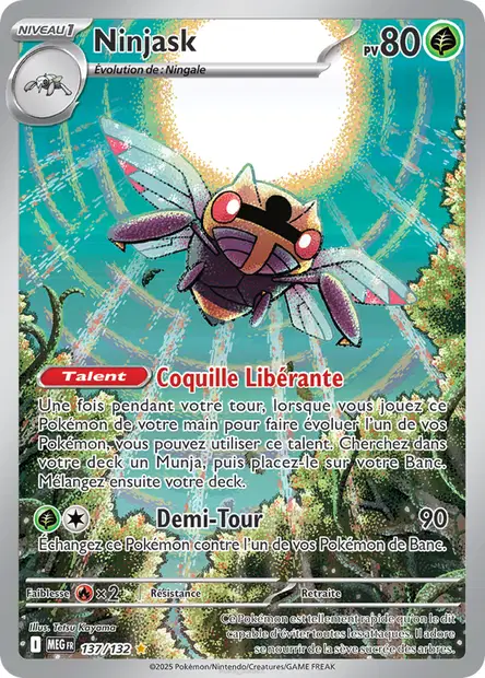 Ninjask