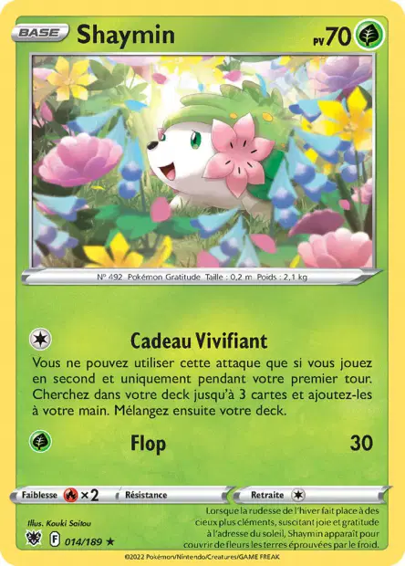 Sylveroy Cavalier du Froid
