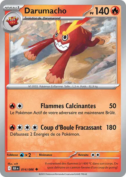 Darumacho