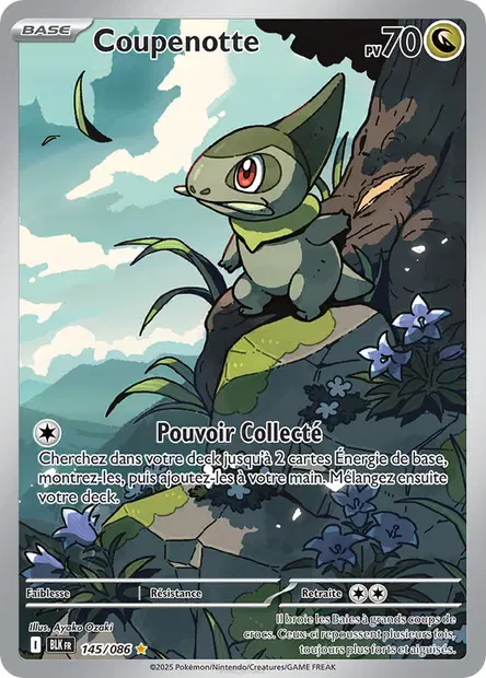 Coupenotte