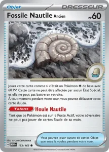 Fossile Nautile <small>Ancien</small>