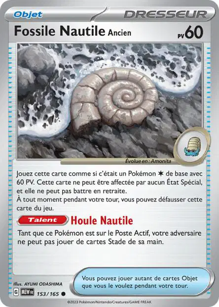 Fossile Nautile <small>Ancien</small>