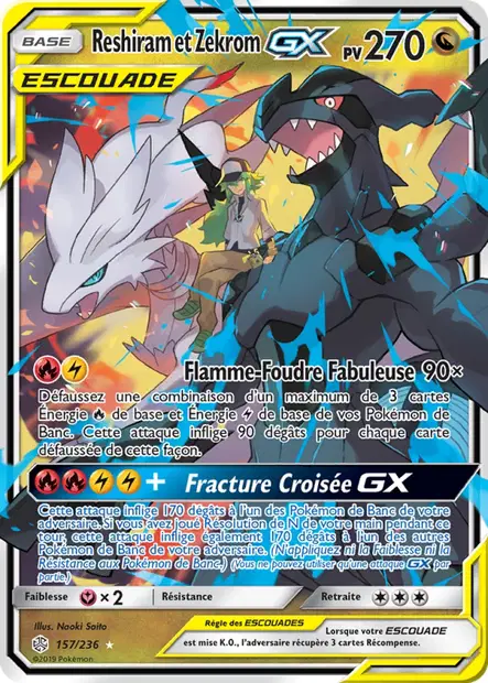Reshiram et Zekrom