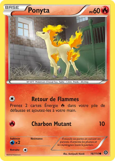 Ponyta
