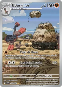 Bourrinos