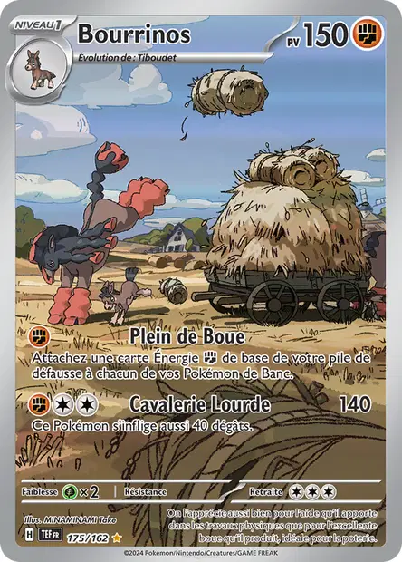 Bourrinos