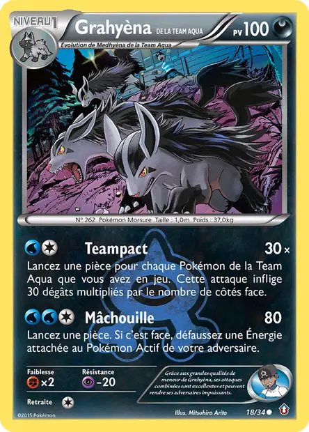 Grahyèna <small>de la Team Aqua</small>