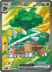 Torterra