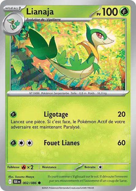 Lianaja