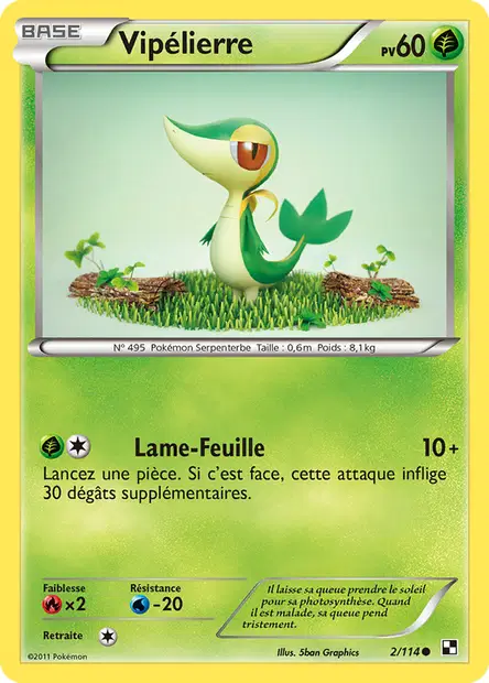 Vipélierre
