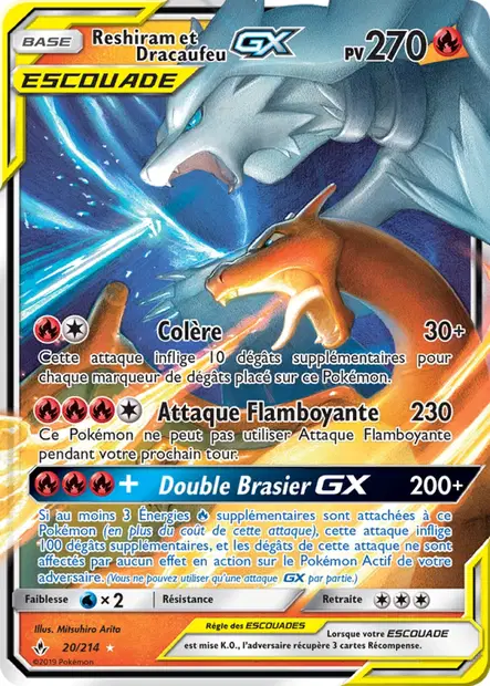 Reshiram et Dracaufeu
