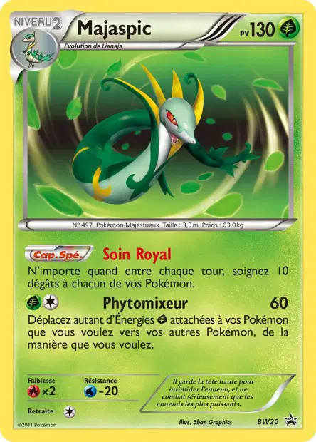 Promos Black Star Noir & Blanc #20