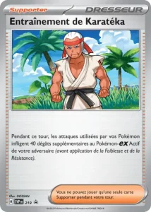 Promos Écarlate et Violet #219