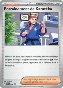 Promos Écarlate et Violet #220
