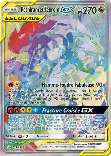 Reshiram et Zekrom