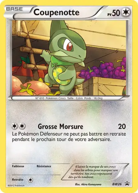 Promos Black Star Noir & Blanc #26